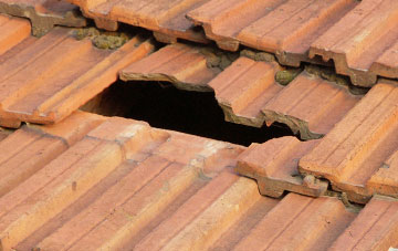 roof repair Daws Cross, Essex